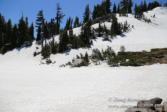 Medow's Snow-5708