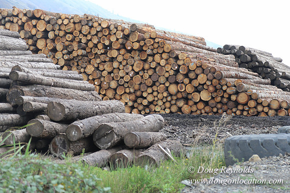 SDS Lumber-1416