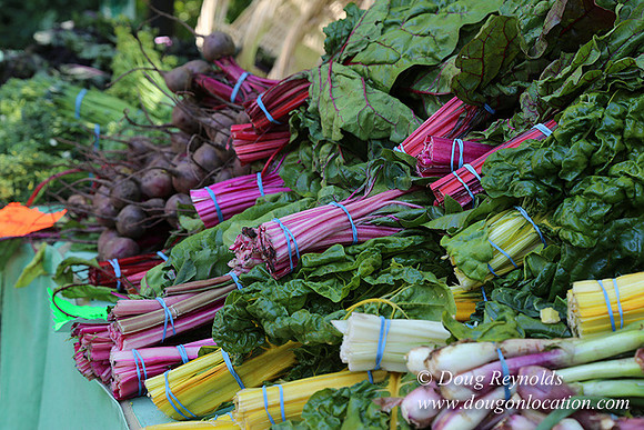 Portland PSU Farmers Mkt-5793