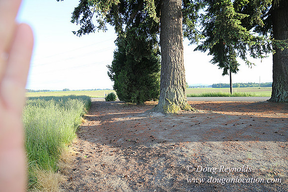 Toms Rd Side-6392