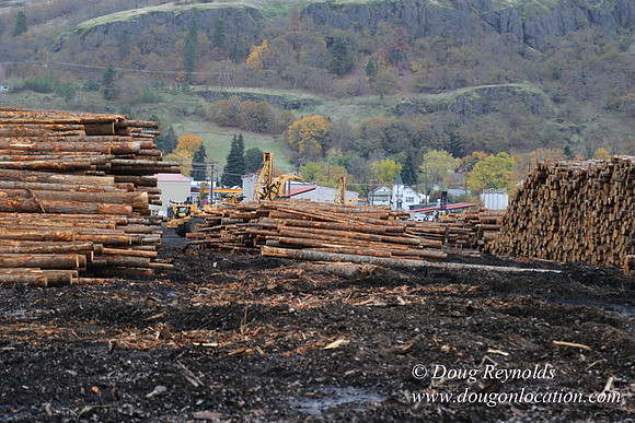 SDS Lumber-1434