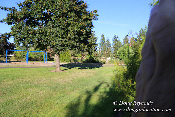 Lincoln Park-0665