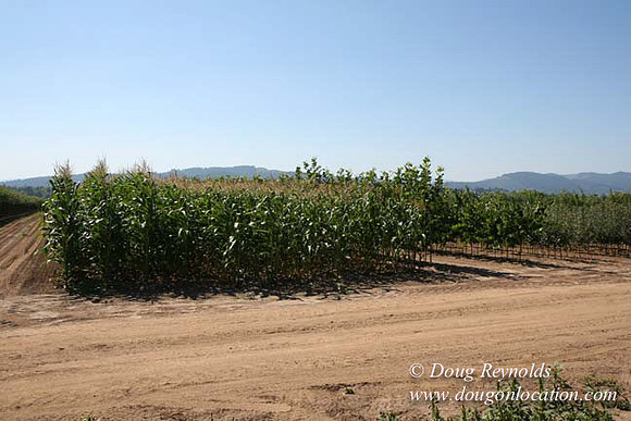Farm 4 has Barns Shops they grow Wheat and Corn.  in the Portland Zone