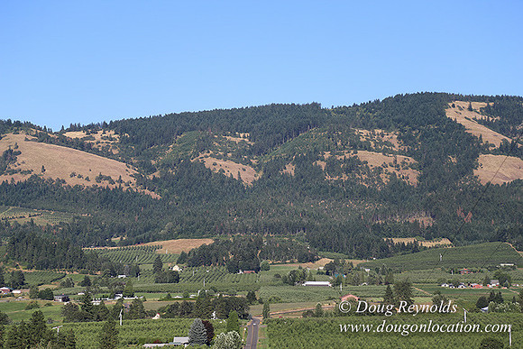 Eheck Hill-8418