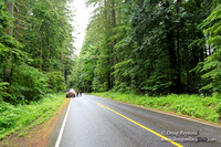 Larch Mt Rd