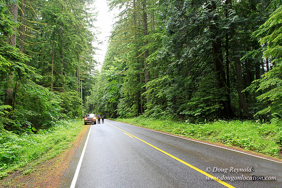 Larch Mt Rd