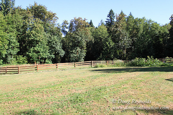 Traditional Style Home small farm with large kitchen great room, 2 story, 2 car garage on Acreage with large back yard, large front yard, garden, pond, deck, goats, bees, shop, PDX Zone