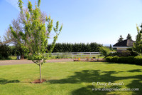 Marks House-6890