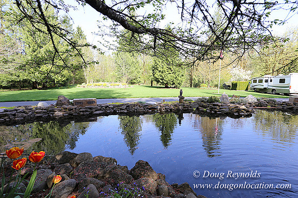 Brians Pond & Drive-9927