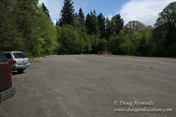 M Young State Park-9919