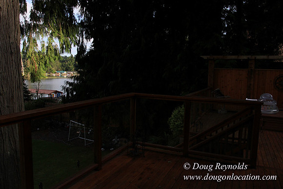 Kathys Lake House-7426