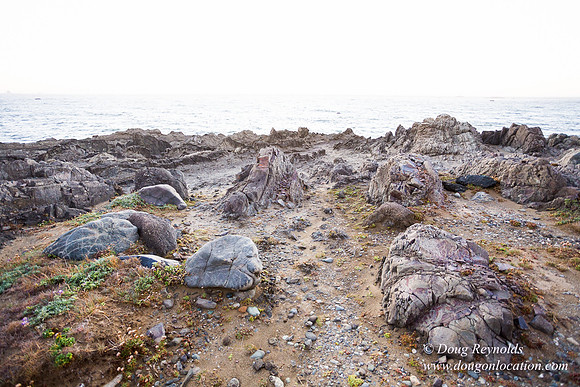 OPVPSBSP  Rock Coastal Area