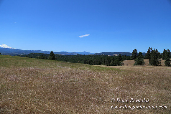 Brothers Ranch-8474