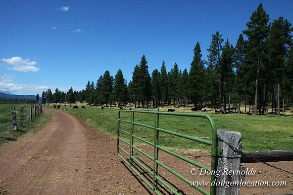 2500 Acres of green fields Creeks water crossing Bridges on a Large Lake and miles of Dirt roads Oak trees Forest land ATV Trails cows