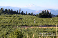Hwy 35 at Hwy 282-8636