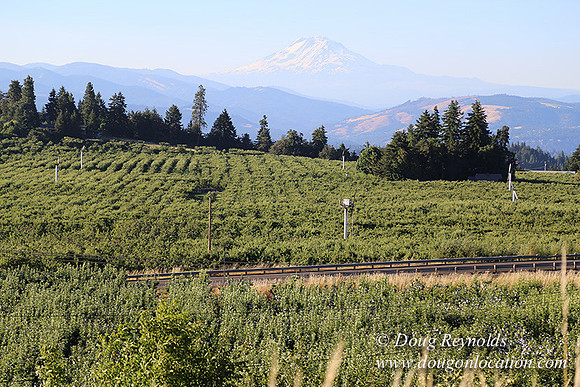 Hwy 35 at Hwy 282-8636