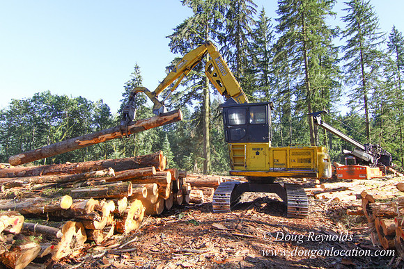Craig Logging-3176