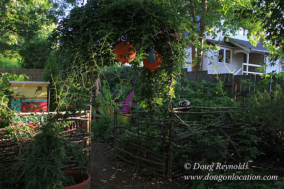 Home" Bungalow, Bee's Back yard Chickens, Small,