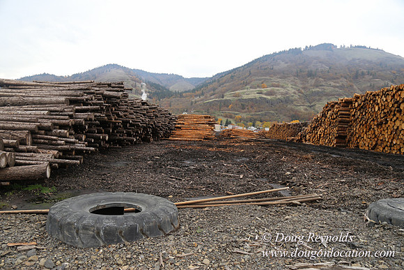 SDS Lumber-1428