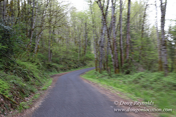 Brians Rd to the Gate-0299