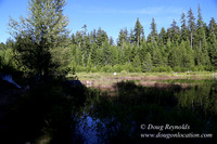 Clear Lake-3544