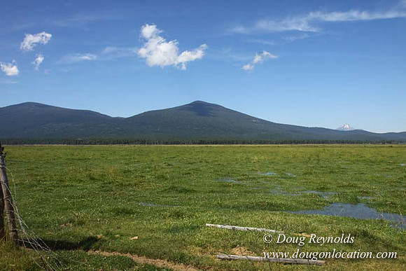 2500 Acres of green fields Creeks water crossing Bridges on a Large Lake and miles of Dirt roads Oak trees Forest land ATV Trails cows