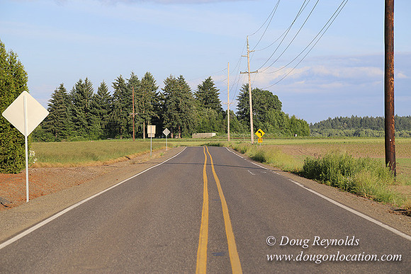 Toms Rd Side-6341