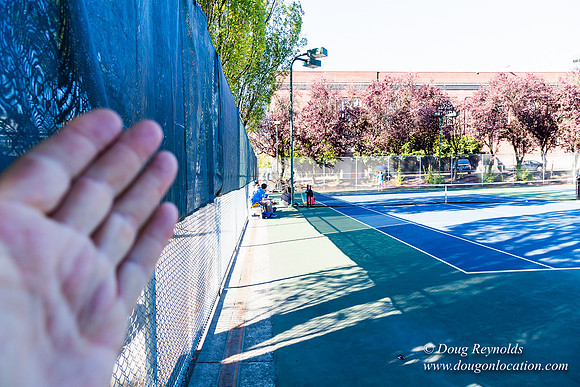 Portland Tennis Courts 3