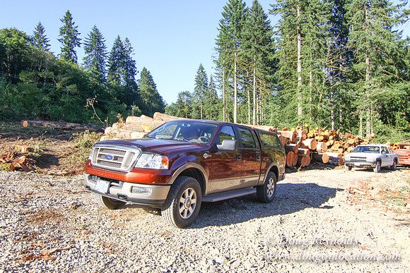 Craig Logging-3164