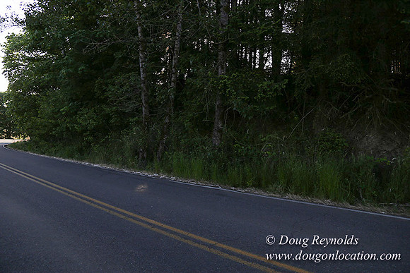 Moores Rd 2-7094