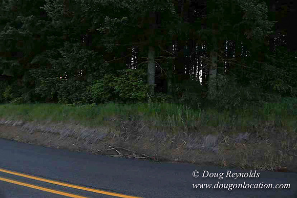 Hwy 214 M18-7652