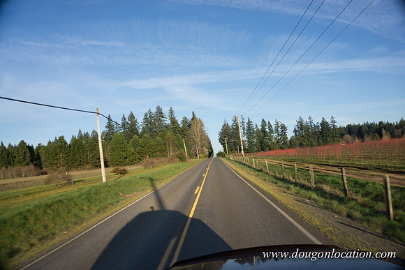 Kelso Rd W Driving E-4091
