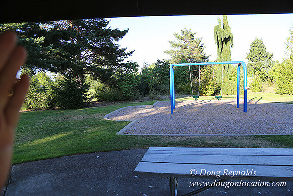 Lincoln Park-0644
