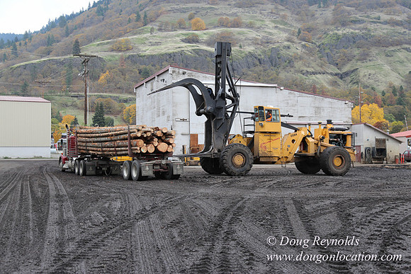 SDS Lumber-1456