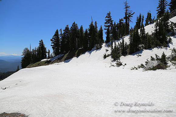 Medow's Snow-5707