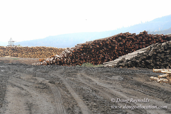 SDS Lumber-1418