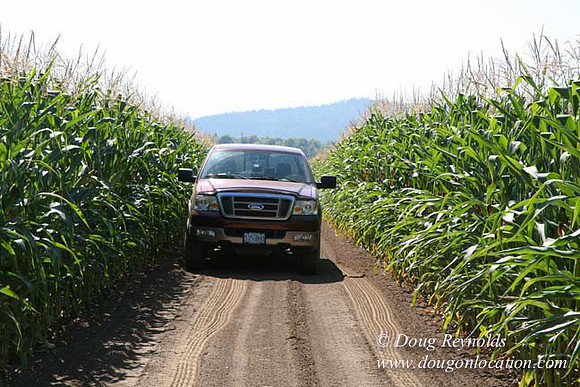 Farm 4 has Barns Shops they grow Wheat and Corn.  in the Portland Zone