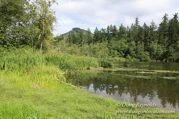 Roberts Lake House-4833