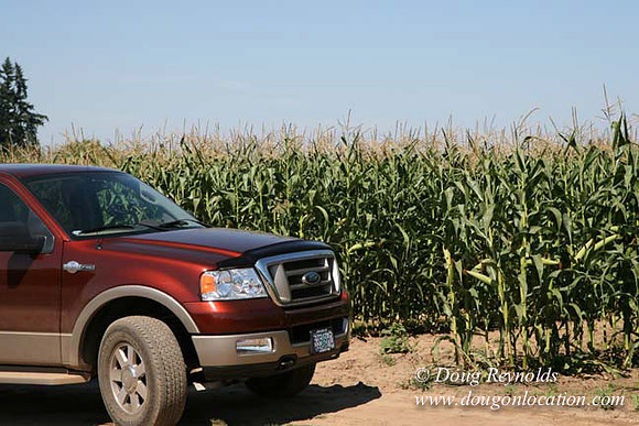 Farm 4 has Barns Shops they grow Wheat and Corn.  in the Portland Zone