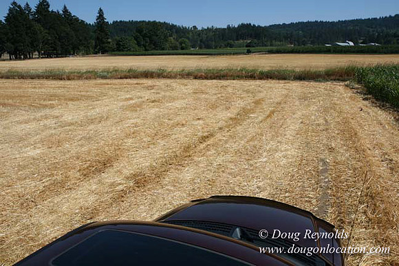 Farm 4 has Barns Shops they grow Wheat and Corn.  in the Portland Zone