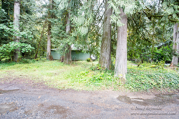 Collins Cabin