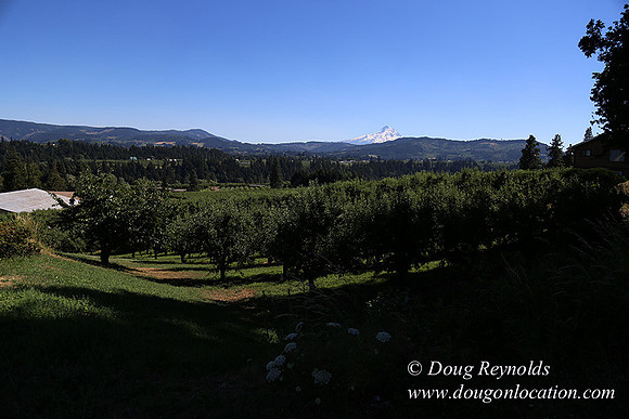 Portland Dr HdRv-8198