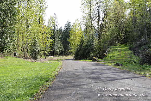 Brians Road-9799