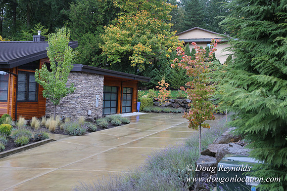 Kathy's House-0449