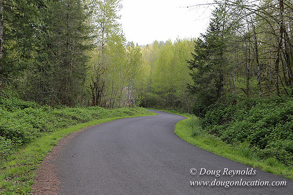 Brians Upper Drive-0285
