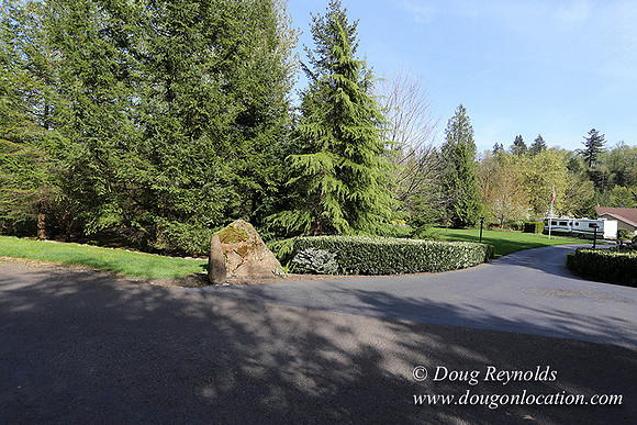 Brians Pond & Drive-9916