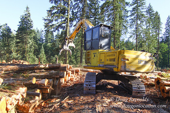 Craig Logging-3168