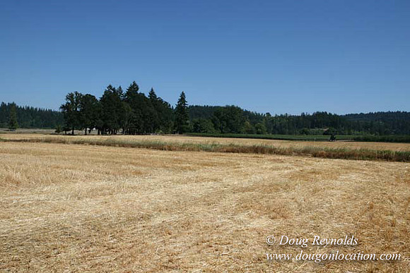 Farm 4 has Barns Shops they grow Wheat and Corn.  in the Portland Zone