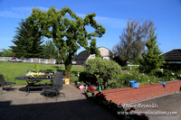 Marks House-6902