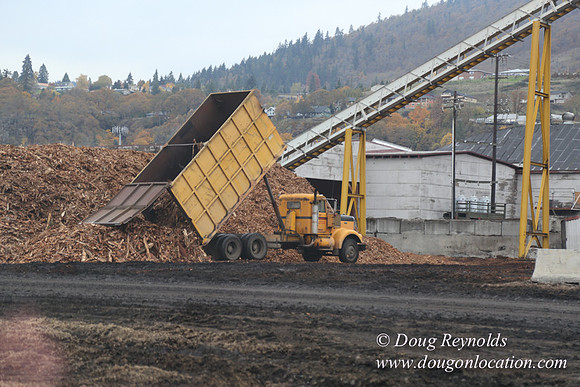 SDS Lumber-1446
